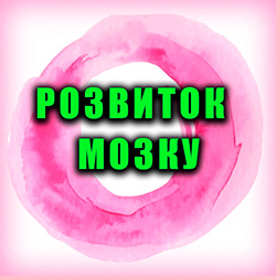 Розвиток мозку
